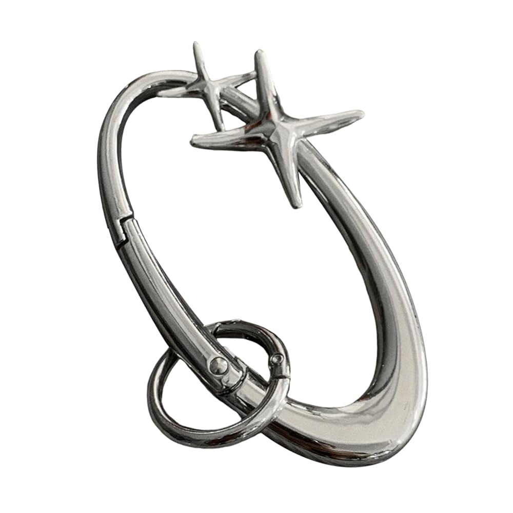 Stainless Steel Matte Chrome Carabiner Keychain, Heavy-Duty